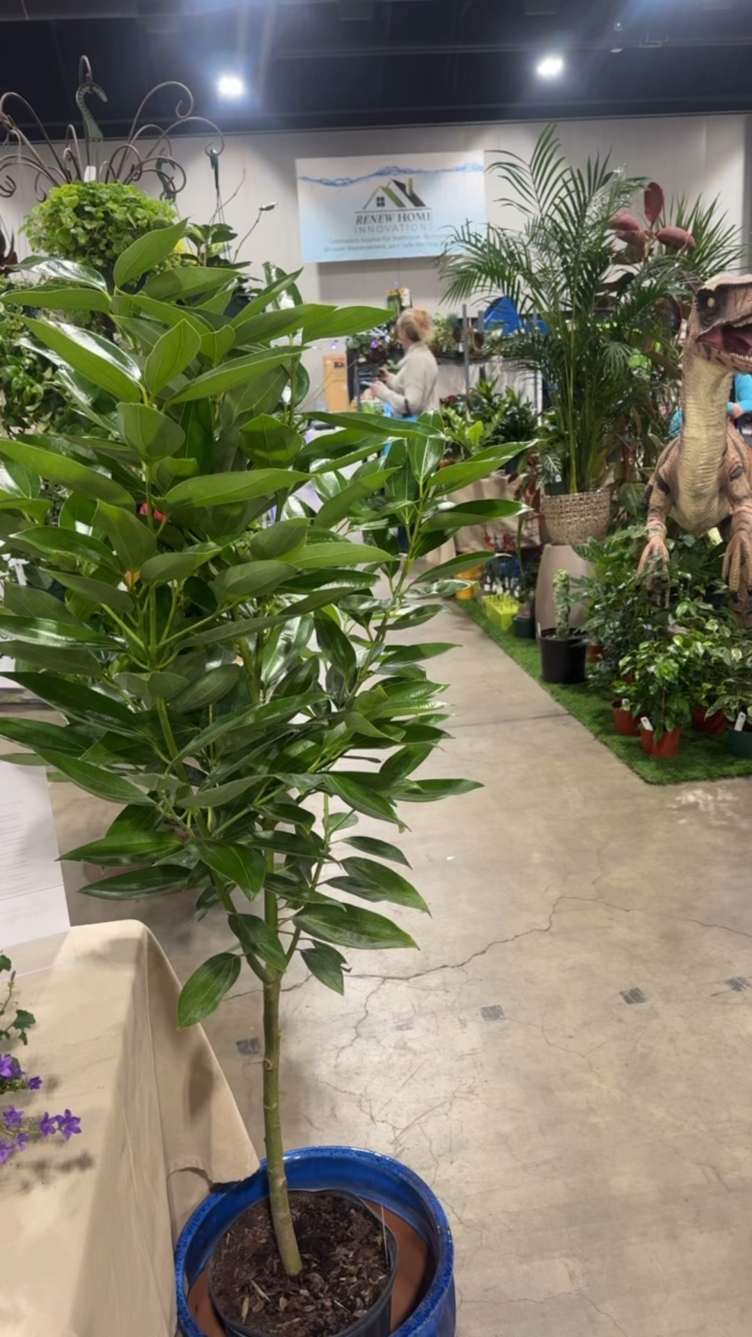 Home and garden show and look who I found! 😍

#solsoils #plants #plantcare #soil 

#LTKdayinmylife #LTKHome #LTKmomlife