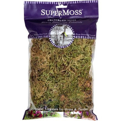 SuperMoss Forest Dried Decorative Moss for Potted Plants, Natural Green, 2.2oz | Target