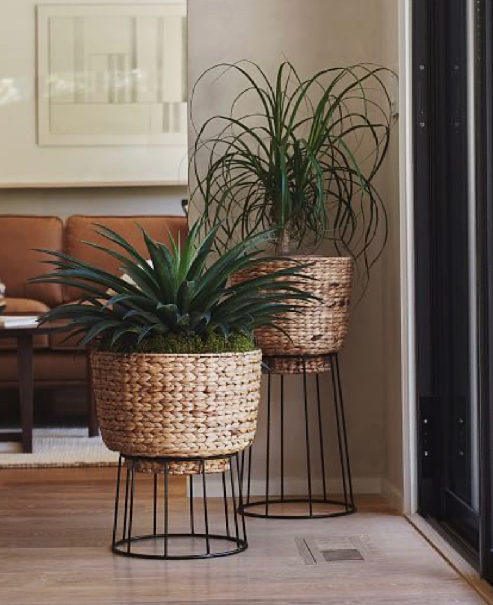 Baskets for plants and decorative storage baskets 🧺 

#LTKFind #LTKhome #LTKunder100