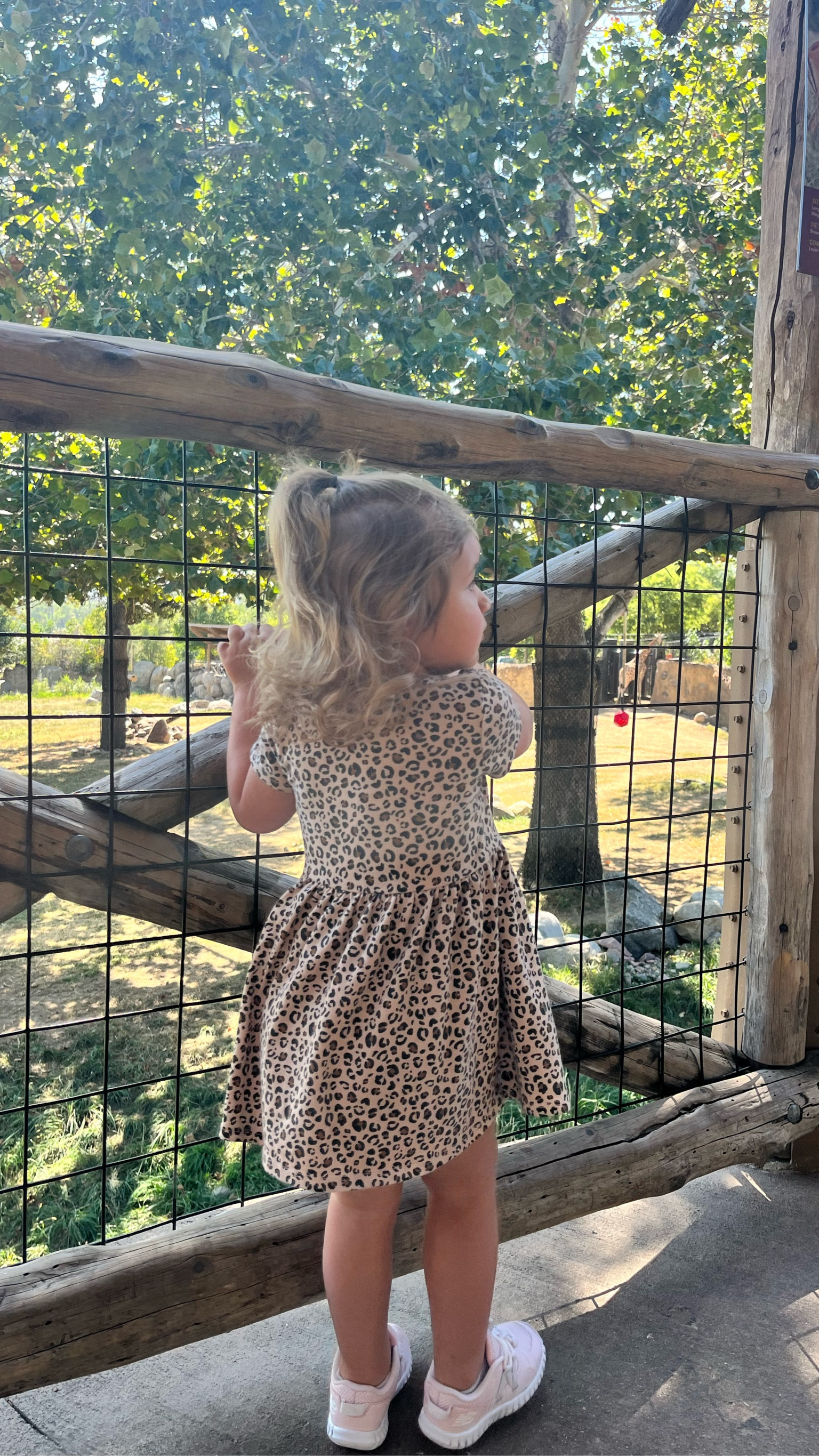Cute animal print fall dress for your little. She is wearing a 2T. 

#LTKkids #LTKsalealert #LTKSeasonal