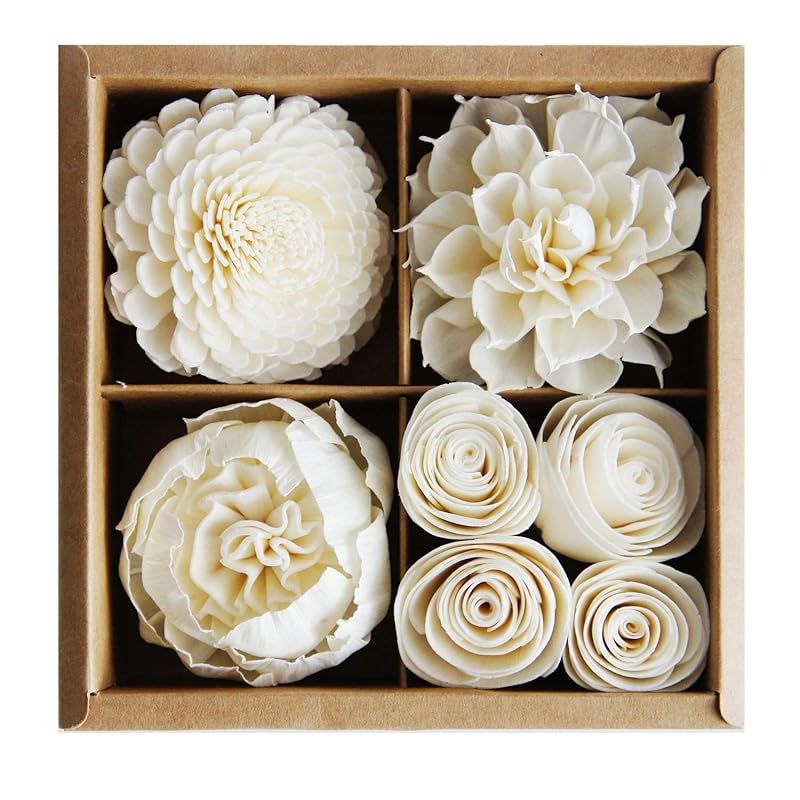 Mixed White Sola Flower with Cotton Wick Diffuser Set Replacement for Home Fragrance by Plawanatu... | Amazon (US)