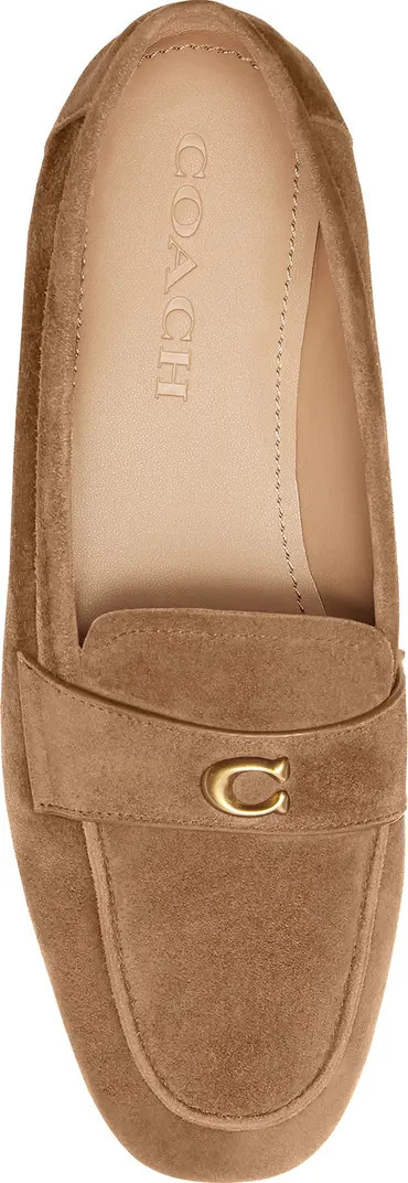 Sculpted C Loafer (Women) | Nordstrom