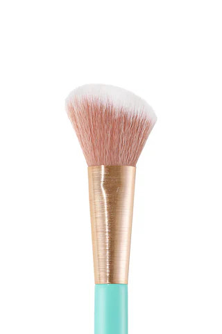 SWEED Angled Blush Brush from Revolve.com | Revolve Clothing (Global)