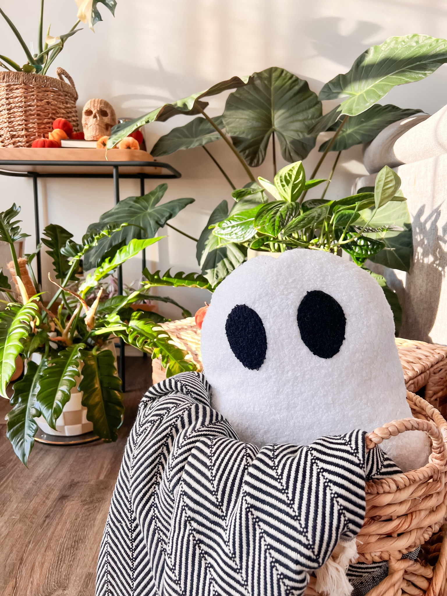 Affordable & aesthetic Halloween decor finds

#LTKFindsUnder50 #LTKHome #LTKSeasonal