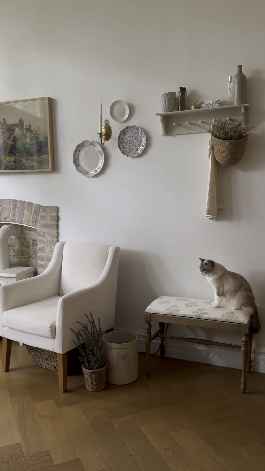 $10 yard sale bench makeover using my favourite fabric (from a linen cotton shower curtain) plus other kitchen decor 

#LTKstyletip #LTKSeasonal #LTKhome