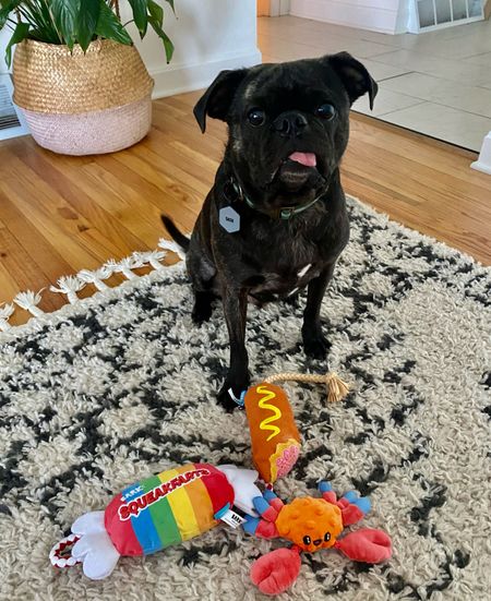 #Ad #WalmartPartner 

BARK dog toy haul ⬇️⬇️ I found all of these cute dog toys on Walmart! The mini crab is a favorite 🦀 

#LTKFind