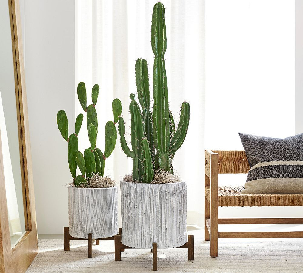 Faux Potted Saguaro Cactus | Pottery Barn (US)