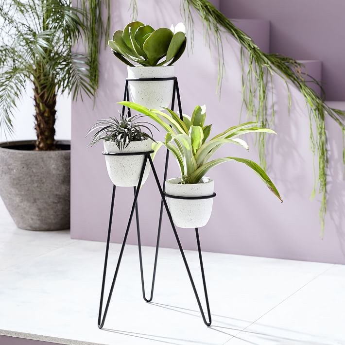 Iris Indoor/Outdoor Triple Planter & Chevron Stand | West Elm (US)