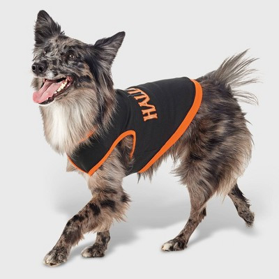 Halloween Dog Sweatshirt - Hyde and EEK! Boutique™ XL | Target