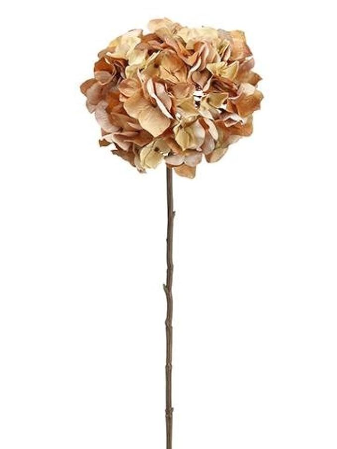 Allstate Floral & Craft Antique Fall Hydrangea Silk Flower Stem in Tan and Amber Brown - 30\" Tall | Amazon (US)