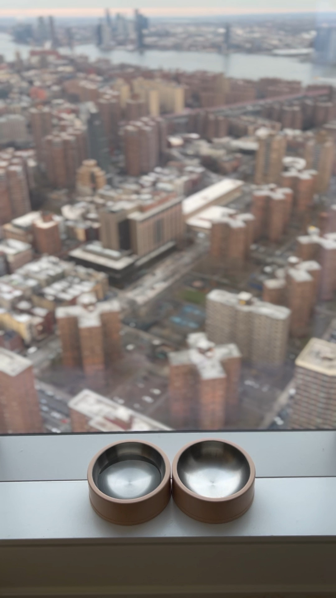 aesthetic minimalist dog bowls, neutral dog accessories, wild one, bougie dog accessories, rich dog aesthetic

#LTKFind #LTKhome #LTKunder50