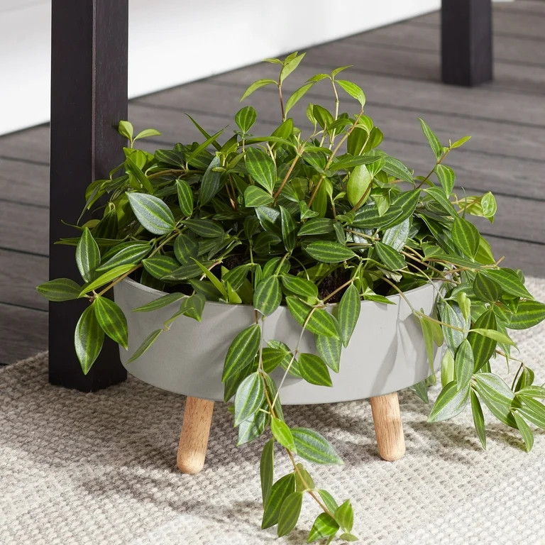 Better Homes & Gardens 10" x 10" x 5.2" Grigio Gray Footed Resin Planter Saucer - Walmart.com | Walmart (US)