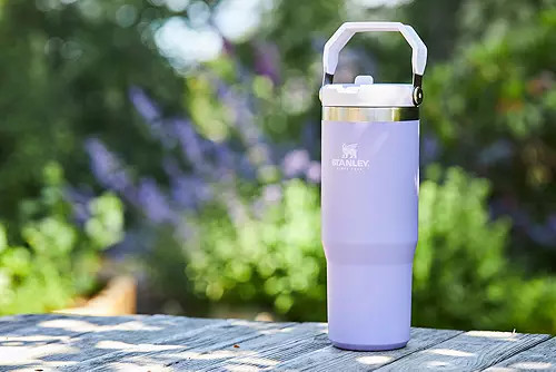 Stanley 30 Oz. IceFlow Tumbler with Flip Straw | Dick's Sporting Goods