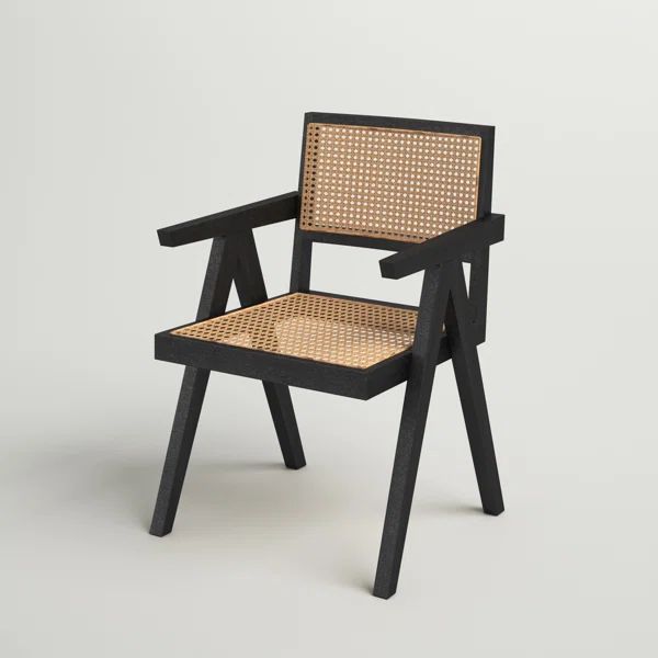 Shasta Arm Chair | Wayfair North America
