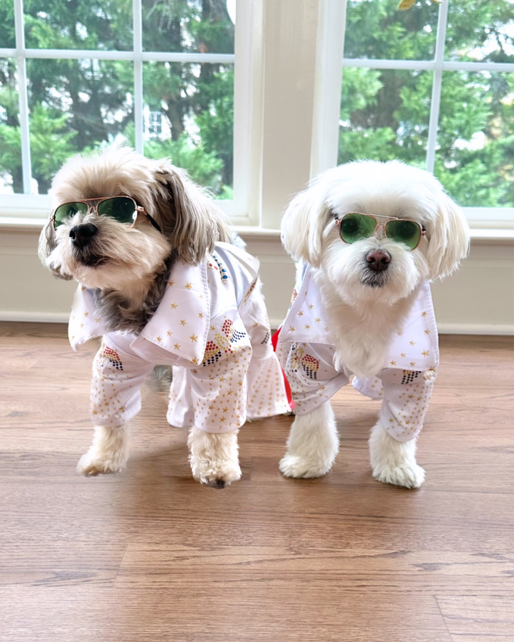 𝑻𝒘𝒐 𝑯𝒖𝒏𝒌𝒔 𝒐𝒇 𝑩𝒖𝒓𝒏𝒊𝒏𝒈 𝑳𝒐𝒗𝒆 🎶

#LTKHoliday #LTKSeasonal #LTKHalloween