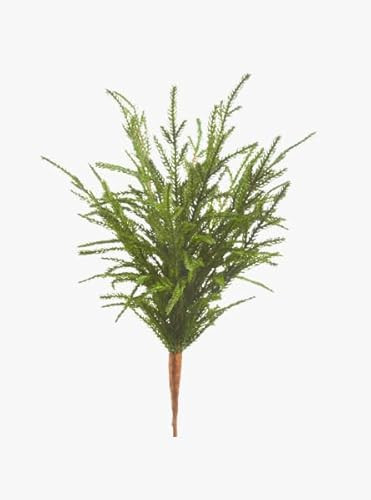 The Refined Dwelling Norfolk 18" Lush Pine Pick | Amazon (US)