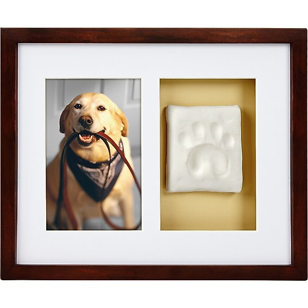 Pearhead Pawprints Dog & Cat Wall Frame & Impression Kit, Espresso | Chewy.com