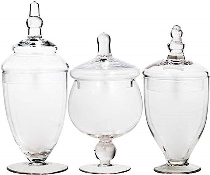 Apothecary Jars with Lids Set of 3 - Home Essentials & Beyond Candy Jars for Candy Buffet, Glass ... | Amazon (US)
