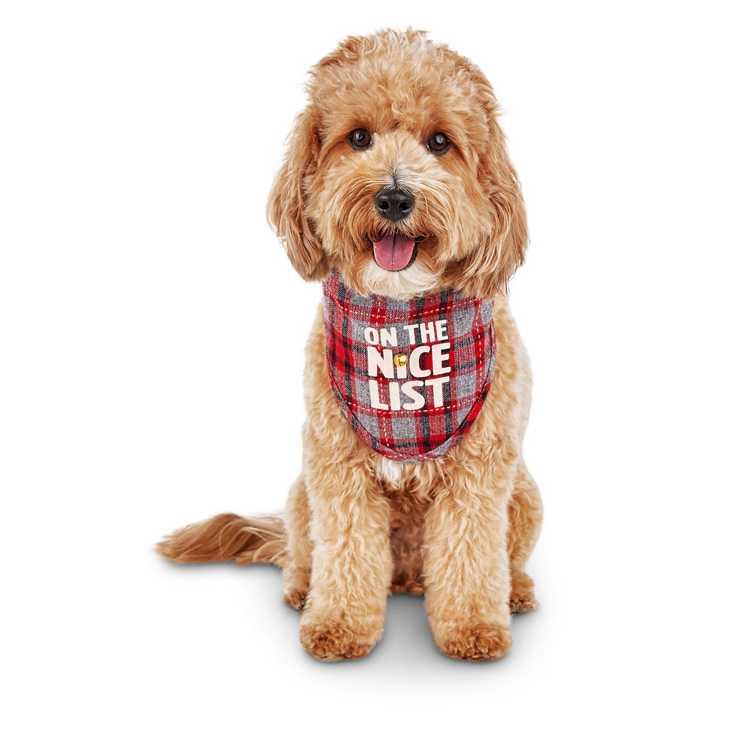 Holiday Tails Nice List Dog Bandana | PETCO Animal Supplies