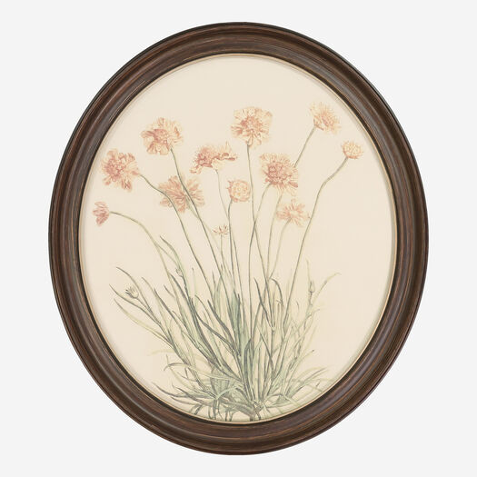 Drawn Flowers Oval Wall Art 35x30cm | TK Maxx
