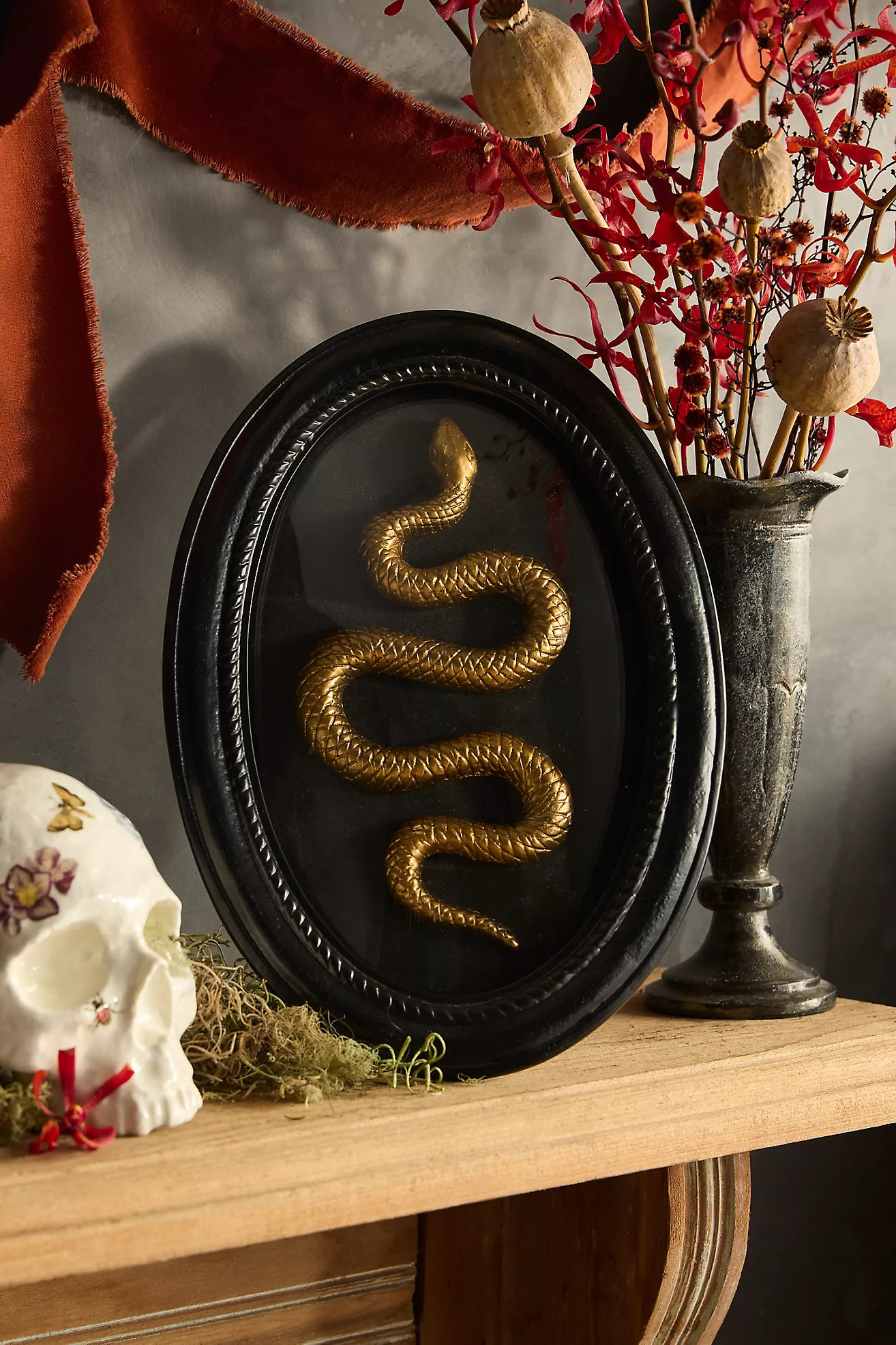 Framed Serpent Shadow Box | Anthropologie (US)