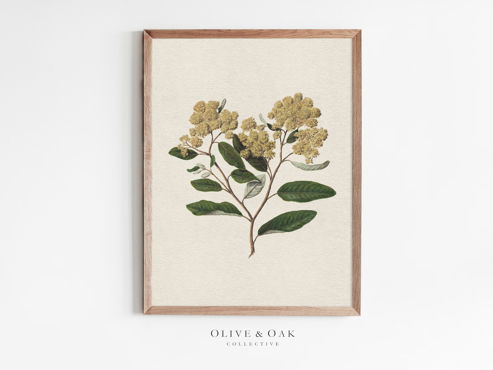 Yellow Flower Drawing / Botanical Art Print / Vintage Wall Art / PRINTABLE Artwork / Downloadable... | Etsy (US)