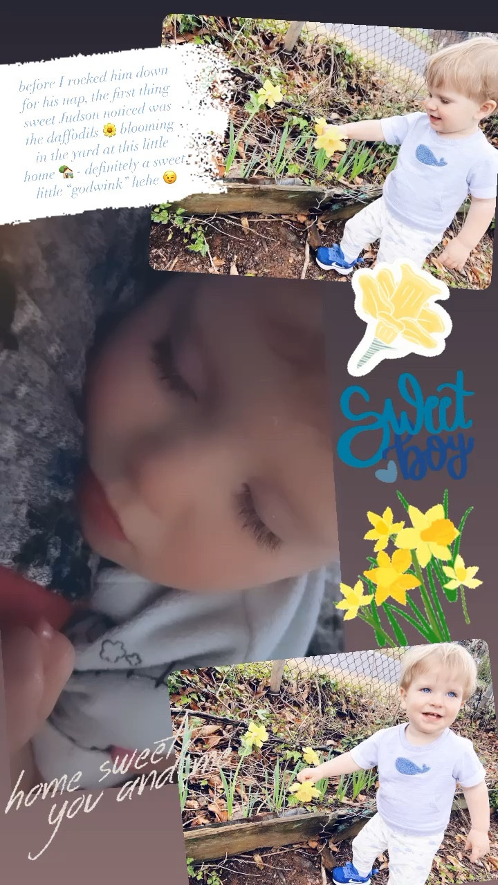 before I rocked him down for his nap, the first thing sweet Judson noticed was the daffodils 🌼 blooming in the yard at this little home 🏡 - definitely a sweet little “godwink” hehe 😉 

#LTKhome #LTKbaby #LTKfamily