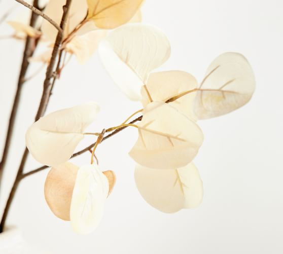 Faux 60" Fading Eucalyptus Branch | Pottery Barn (US)