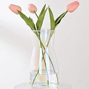 8" Tall Iridescent Glass Vase - For Flowers, Centerpieces, Home Decor | Amazon (US)