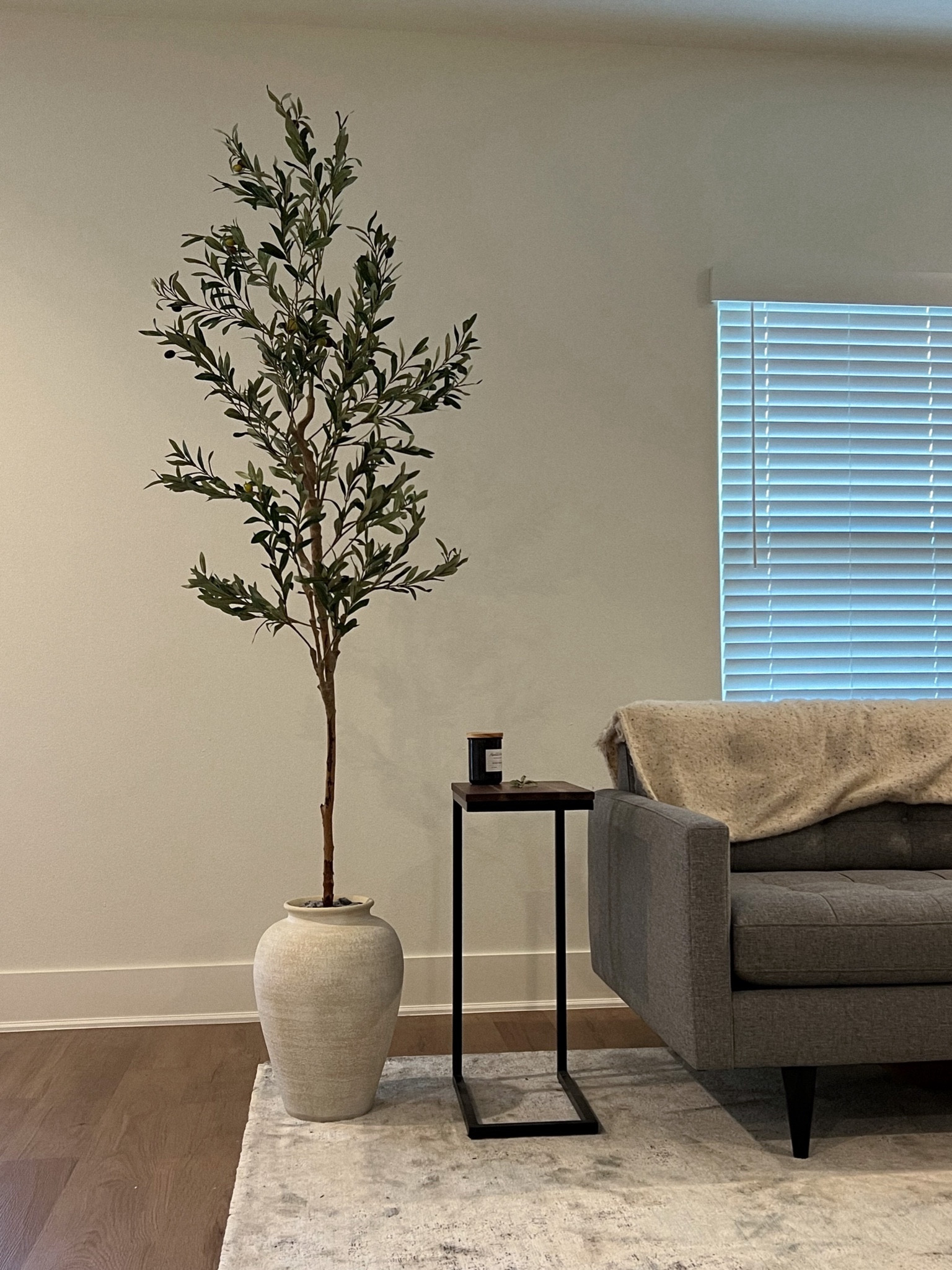 Obsessed with this large Ophelia vase from Crate & Barrel and my new Olive tree 🥰 

#LTKhome #LTKU