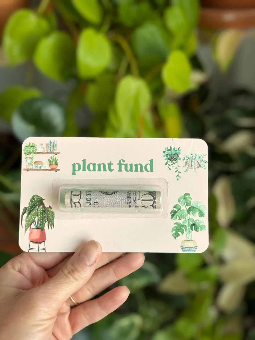 Plant Fund Money Card for Plant Lovers Gift Idea | Plant Lady Mom | Indoor Plant Gifts - Etsy | Etsy (US)
