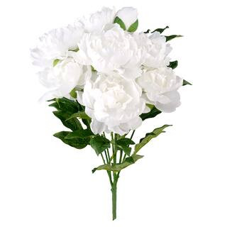 White Peony Bush by Ashland® | Michaels Stores