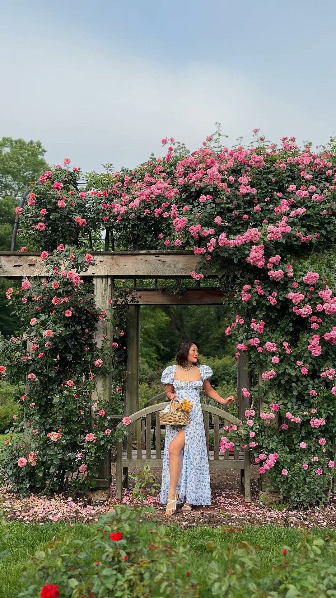 summer wedding guest dresses 

 