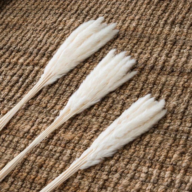 Small Beautiful Natural Dried Pampas Grass Pack of 15  | Etsy | Etsy (US)