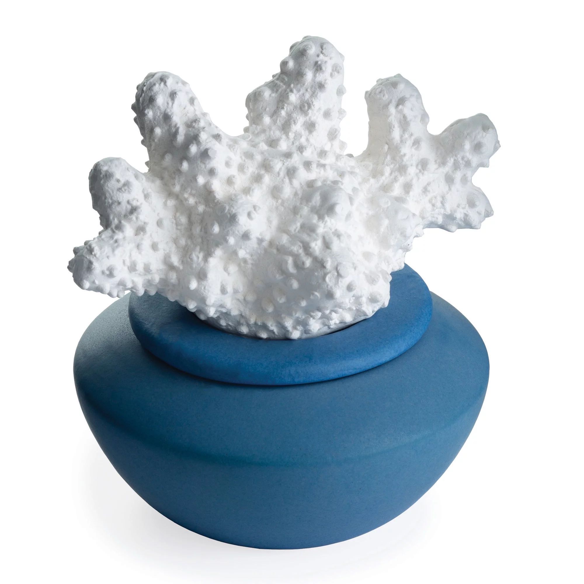 Airome Porcelain Passive Diffuser, White Coral and Blue - Walmart.com | Walmart (US)