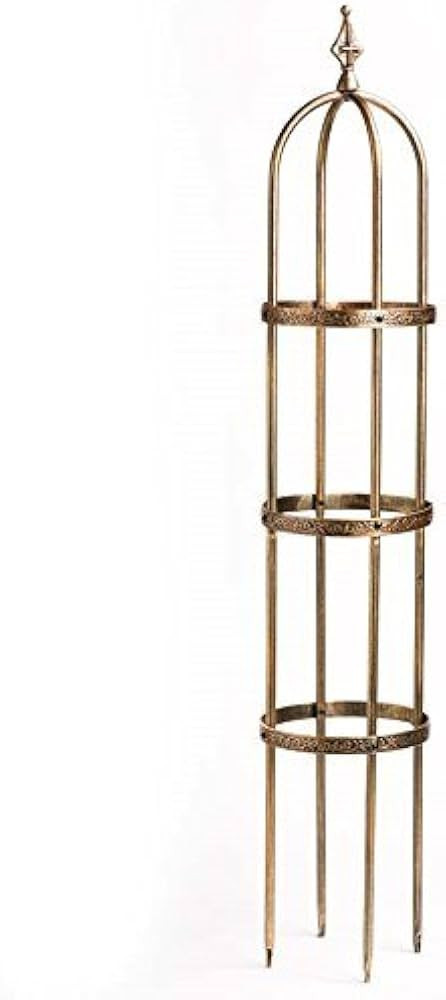 Plow & Hearth Metal Garden Obelisk | Indoor/Outdoor | Powder-Coated Steel | Trellis for Climbing ... | Amazon (US)