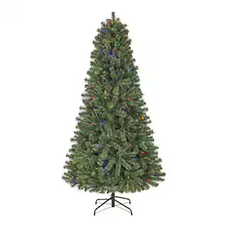 (2 pk) 3 ft. Grand Duchess Twinkling Balsam Fir LED Pre-Lit Artificial Trees G4 | The Home Depot