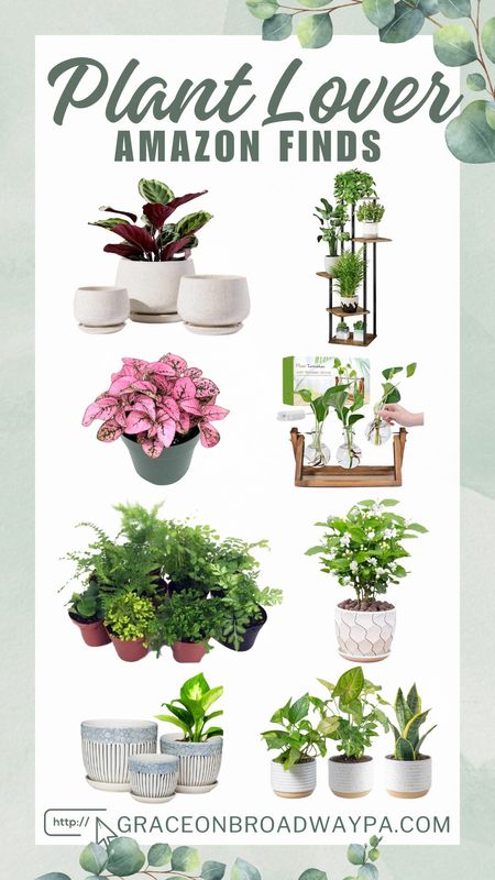 Spring has sprung, and it's the perfect season for adding new green friends to your collection! But let's be honest, every season is plant-shopping season. 😄 I'm lucky enough to have a local farm with an enchanting greenhouse nearby, where I often find myself. However, for those looking for convenience, Amazon offers an amazing selection of starter plants and all the gardening supplies you need delivered right to your doorstep. Yes, including live plants!#Springtime #PlantLove #GreenThumb #AmazonFinds #GardeningLife #PlantShopping

#LTKSeasonal #LTKhome #LTKfamily