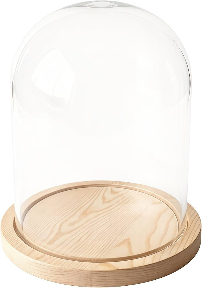 Glass Cloche Bell Jar Display Dome, Natural Wood Color, 6"x7" | Amazon (US)