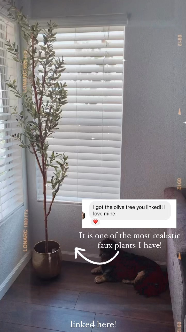 faux olive tree

#LTKSummerSales #LTKHome #LTKSeasonal