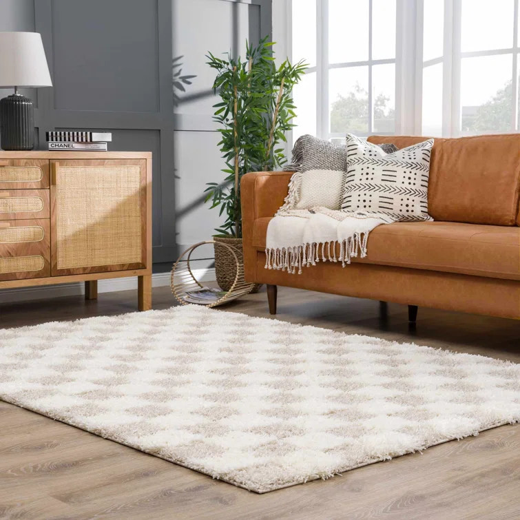 Atiran Checkered Shag Beige Area Rug | Wayfair North America