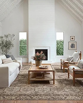 Loloi Amber Lewis x Billie Collection, Clay & Sage 2'-6" x 12'-0" Area Rug – Antique & Distress... | Amazon (US)