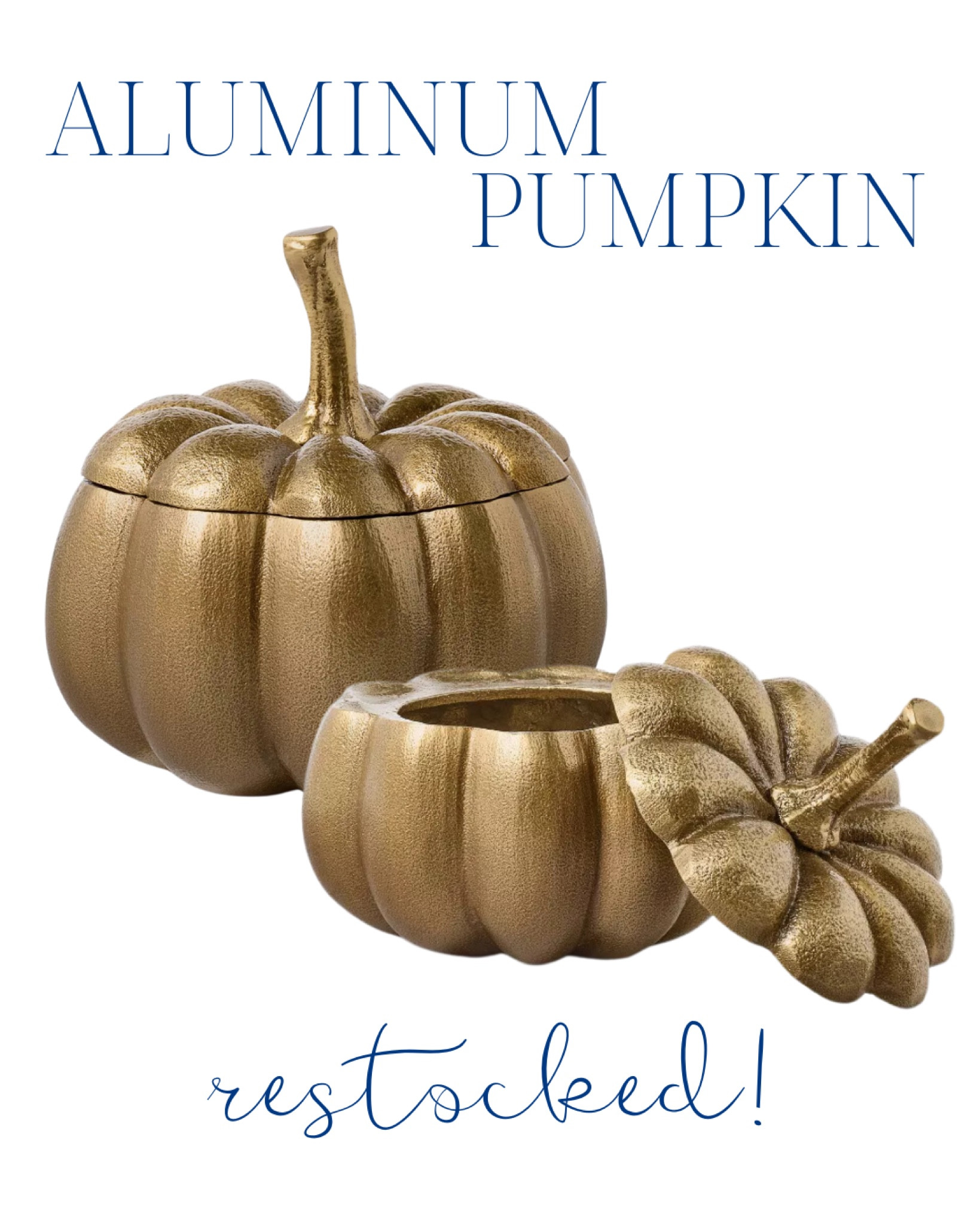 festive finds, seasonal, kids,  girls,  boys, fall, winter, classic style, preppy style, ruffles, scallops, bonnets, holidays, halloween, trick-or-treating, kids, costumes, colder weather, autumn, decor, leaves, pumpkins, jack o lanterns, spiders, black cats, ghosts, hosting, parties,  dinnerware, plates, cups, bowls, linen napkins, chargers, christmas, merry, cheers, pjs, matching sets, wreath, red, green, porch decor, refresh, decorating, home decor, coastal, preppy, traditional, grandmillenial, ornaments, bows

#LTKSeasonal #LTKHome