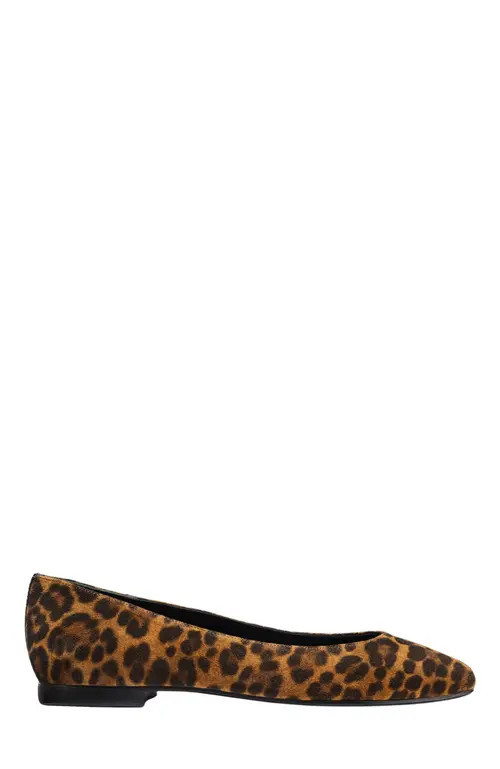 MARGAUX The Pointe Flat in Leopard Suede at Nordstrom, Size 39.5 | Nordstrom