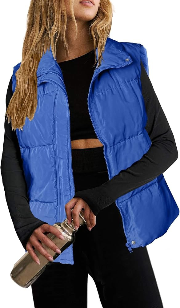 Zeagoo Women Puffer Vest Lightweight Stand Collar Sleeveless Winter Warm Zip Up Padded Outerwear ... | Amazon (US)
