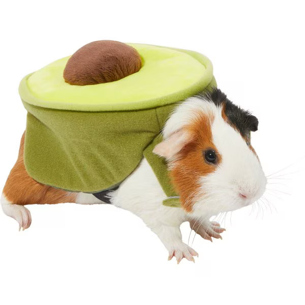 Frisco Avocado Guinea Pig Costume, One Size, Green | Chewy.com