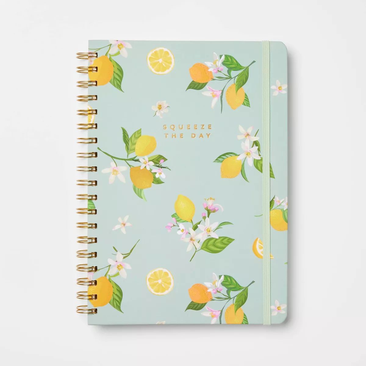240pg Ruled Journal 10"x7.25" Squeeze the Day - Threshold™ | Target