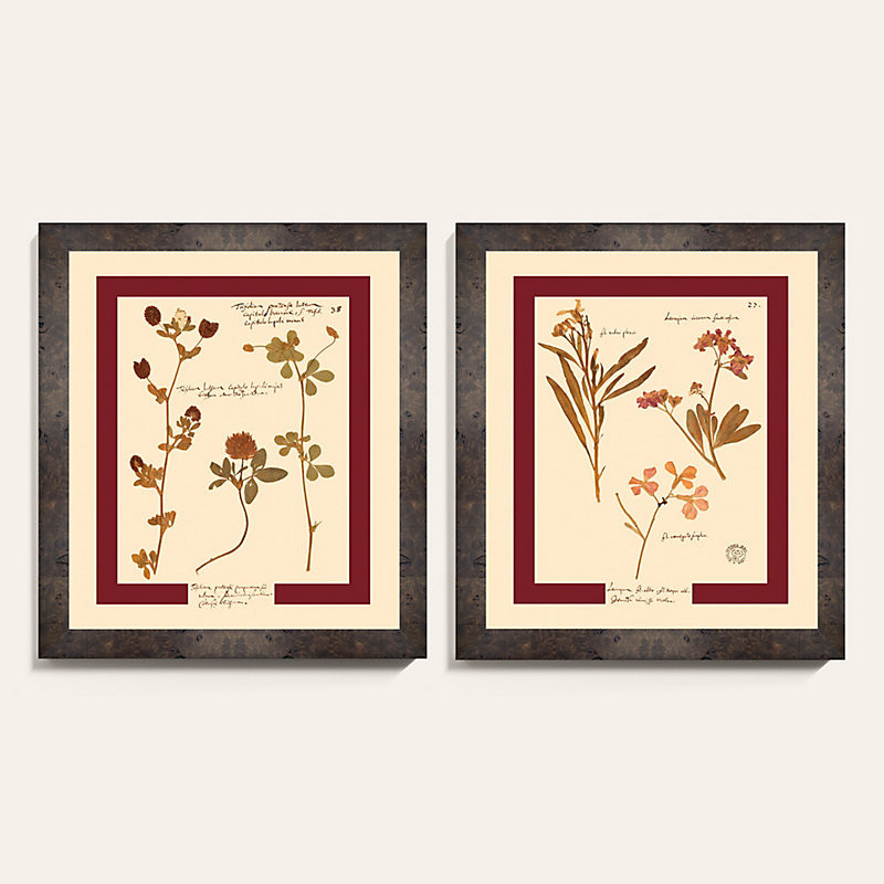 Pressed Flowers Art - Print I, 32" X 26" - Ballard Designs | Ballard Designs, Inc.