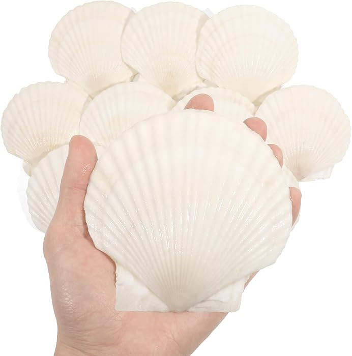 10 PCS 4-5 Inch Large Scallop Shells for Crafting, Natural Large Seashells for Crafts, White Big ... | Amazon (US)