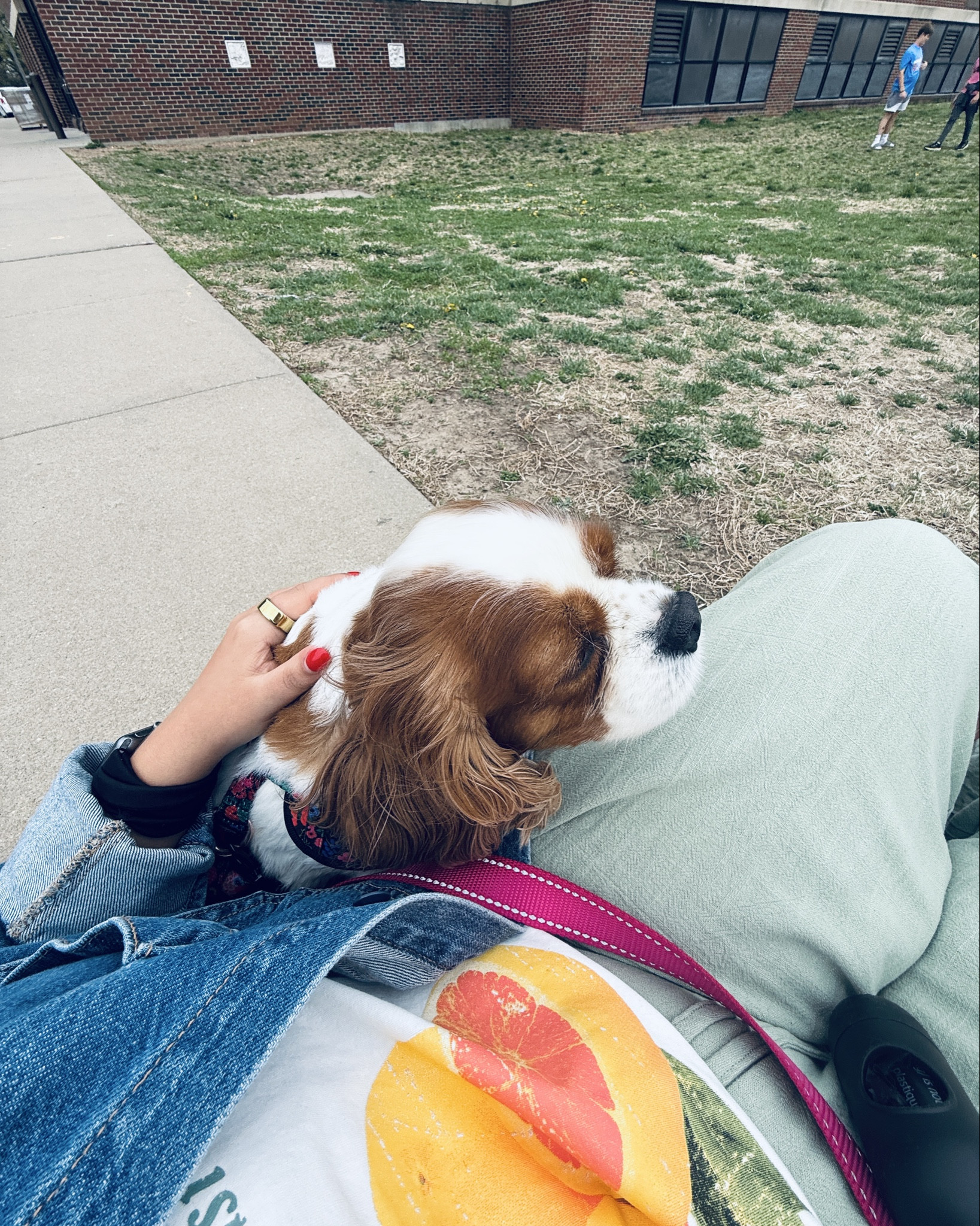 bringing out my crazy creek from my college camp counselor days is my fav trick when my movie club chooses to come outside on a nice day. it doesn’t take much to convince me to come lounge in the sunshine!
